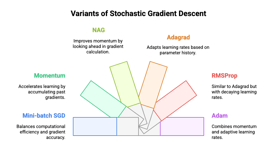 Variants of Stochastic Gradient Descent